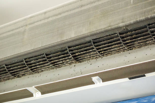 Best Air Quality Test  in Indian Rocks Beach, FL